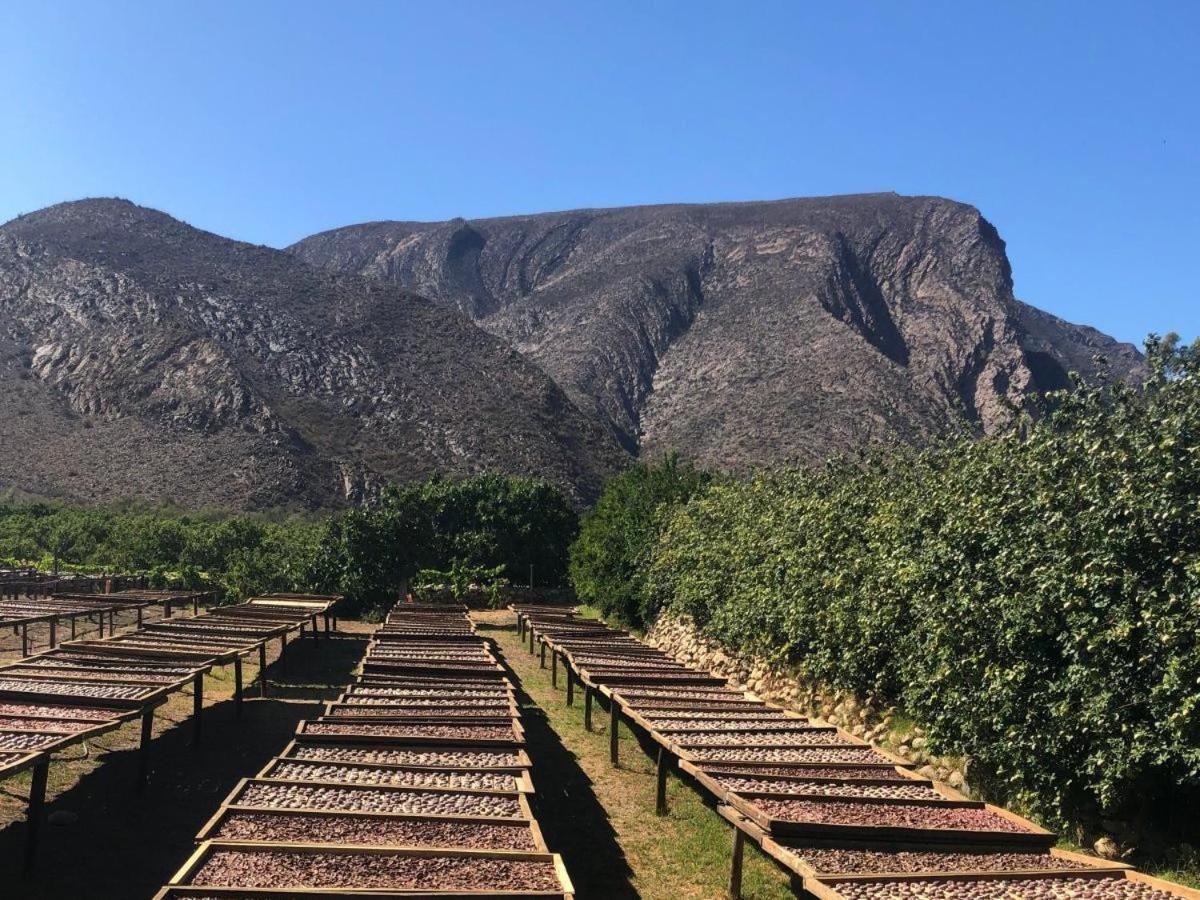 Weltevrede Fig Farm Prince Albert Exterior foto