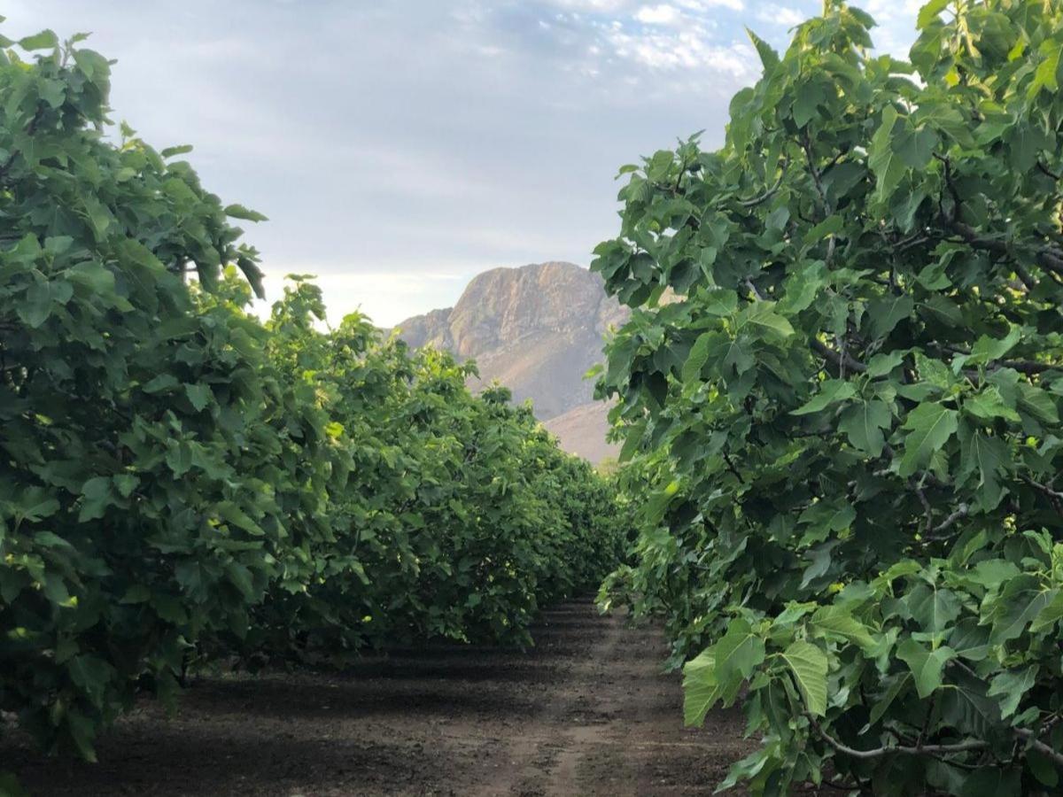Weltevrede Fig Farm Prince Albert Exterior foto