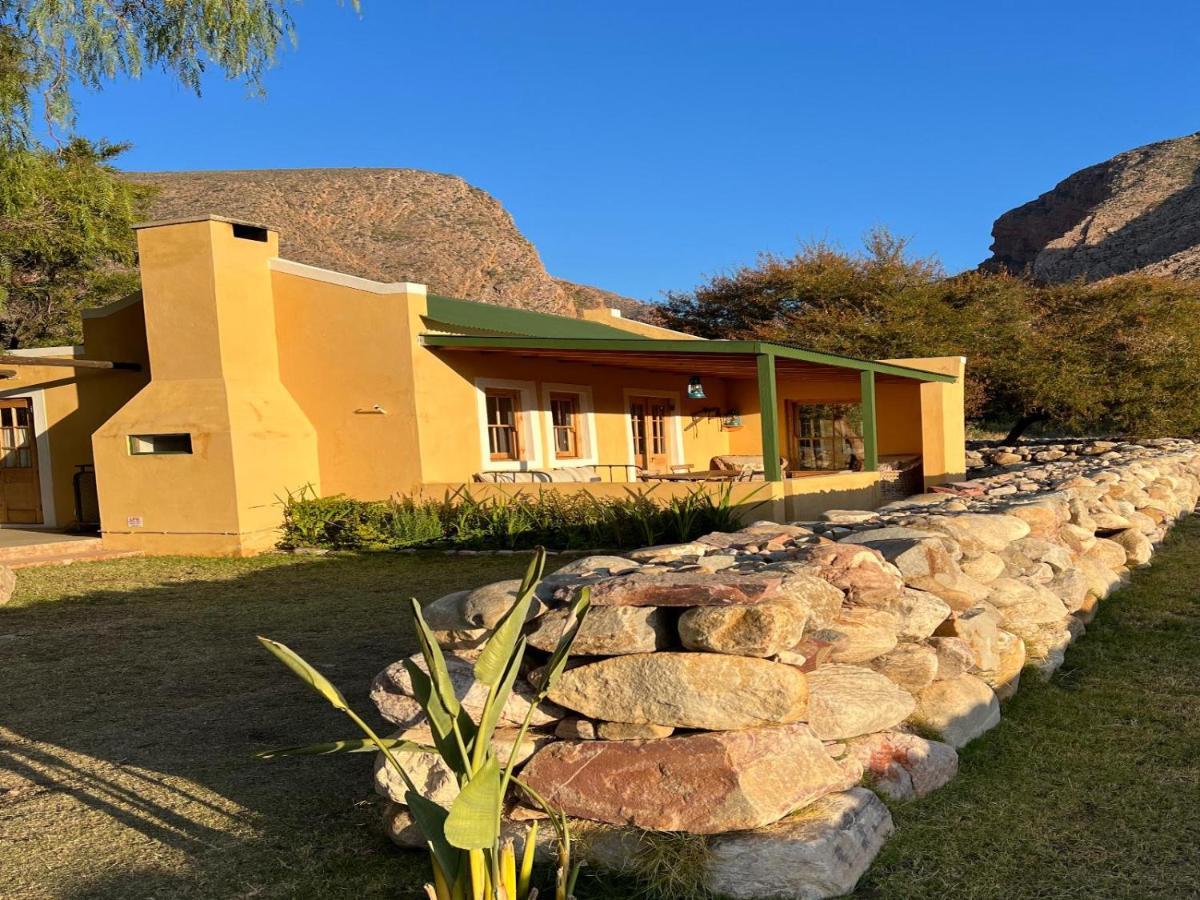 Weltevrede Fig Farm Prince Albert Quarto foto