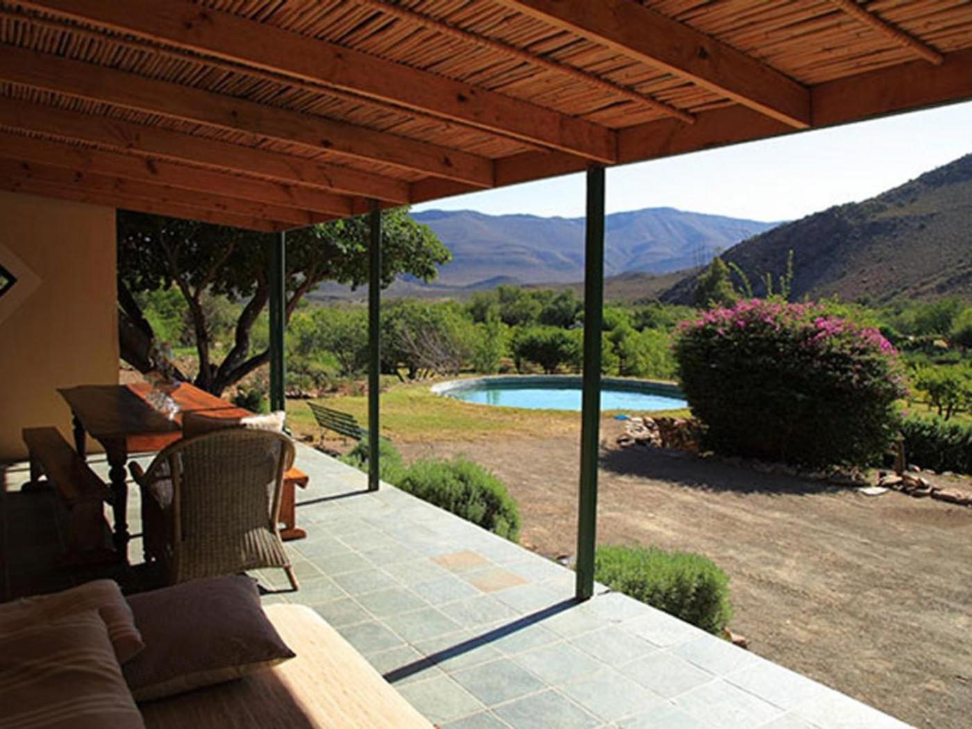 Weltevrede Fig Farm Prince Albert Quarto foto